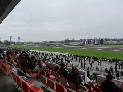 初めて来たよ、中山競馬場　馬券も当たり気持ちいい！