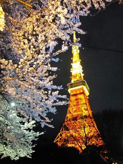 東京・東京タワー（お花見２０１２）