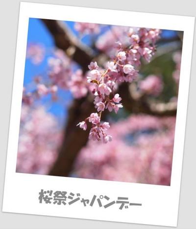 桜祭ジャパンフェアー＠バンデューセン植物園　in バンクーバー