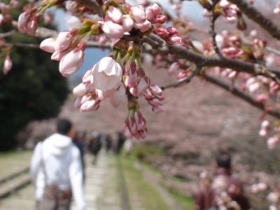 蹴上インクライン・南禅寺★結局、今年も歩く春の京都2012★