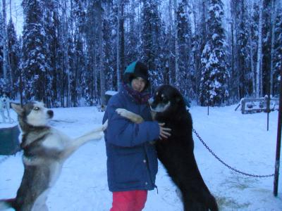 アラスカ　フェアバンクス　犬ぞりマッシャー体験