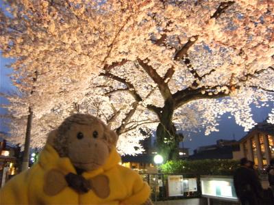 2012 義蔵 <自由学園明日館・観桜会>へ