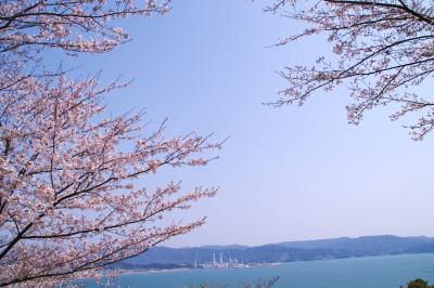 2012 桜旅 和歌山編