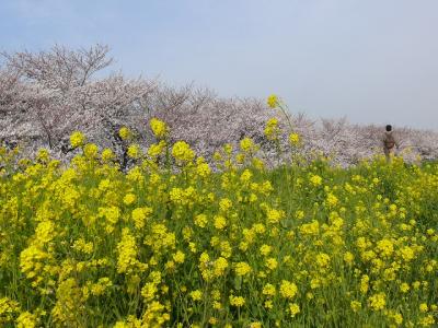 青春18きっぷの元を取りたいと熊谷まで出かけてみました