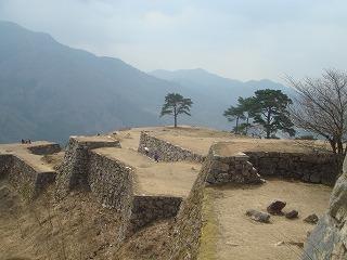 天下の名城と桜の競演を満喫!