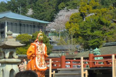 お花見に宮島へ