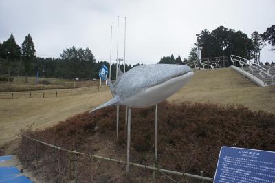 けんくみの和倉温泉記。　（のとじま水族館）