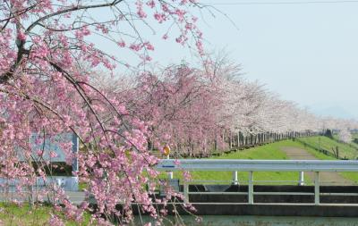おの桜づつみ回廊・播磨中央公園