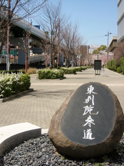 2012桜＠東別院