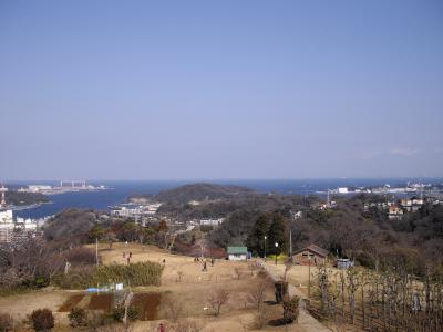 ●再び田浦梅林へ