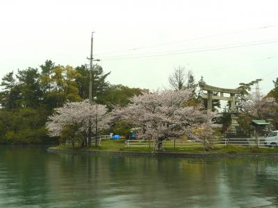 今日と明日は半田市岩滑の春祭り、今は忙しく祭りの準備中です。