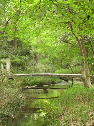 2011年5月　京都府(京都)