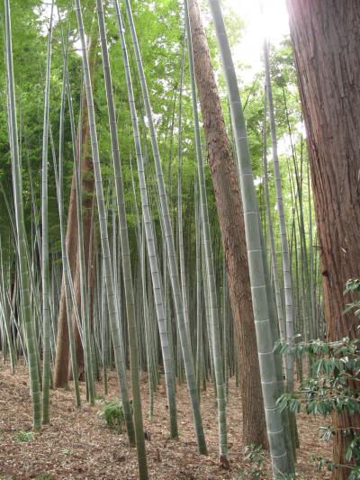 2010年3月　茨城県(水戸市)