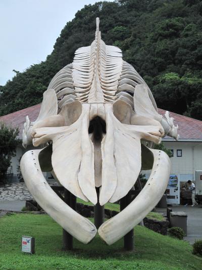 2010年8月　和歌山県(太地町)