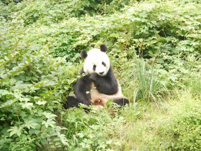 ☆中国・北京旅日記☆