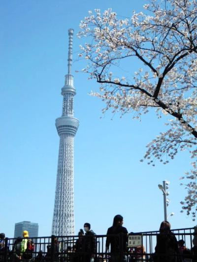 超満員御礼の隅田川！～満開の桜に聳える東京スカイツリーと下町の風景　後編～