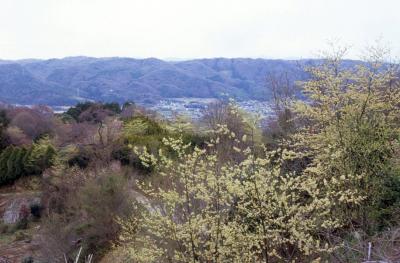 奈良の都の小さな里で