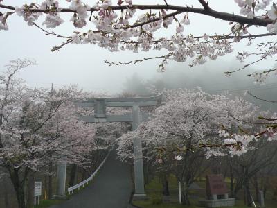 愛宕山ハイキング