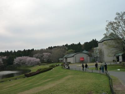 桜　好きっ！　～川村美術館　（2012.04.15）
