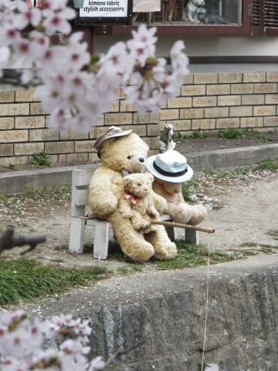 銀閣寺・哲学の道　女一人桜見物