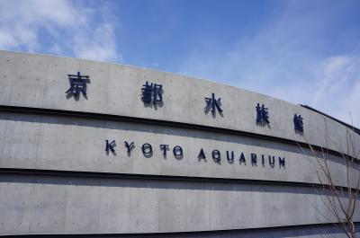 京都水族館に行ってきた