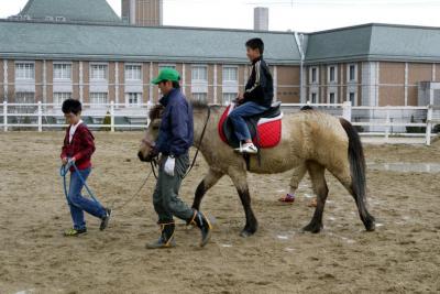 １７．春休みの有馬温泉5泊旅行　神戸市立フルーツフラワーパーク ホースランドみついの杜牧場