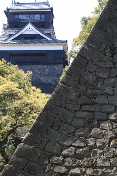 【熊本観光】 ～ 桜咲き誇る熊本城へ① ～