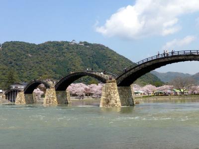 桜の岩国錦帯橋　[2日目]