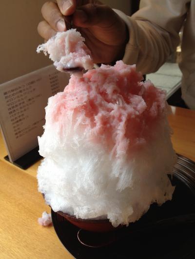 2012年桜4月15日は長瀞が満開♪( ´θ｀)ノ阿佐美冷蔵のかき氷は絶対食べるぞ～