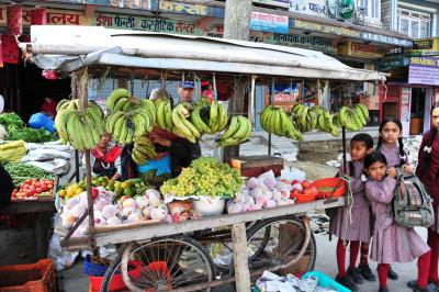 感動の旅ネパール(12)  ポカラの街歩き