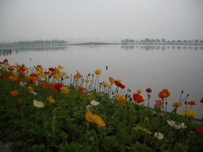 2012中国南部旅行(杭州)