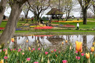 花満ちて　彩り満ちて　春は満ち
