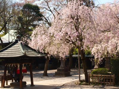 深大寺と神代植物公園