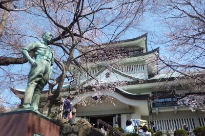 近くに行きたい♪　「地元愛知の桜も綺麗だがね(*^_^*)　小牧山の桜」