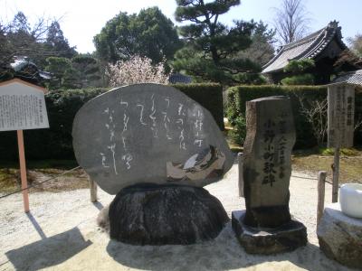 小野小町ゆかりの随心院