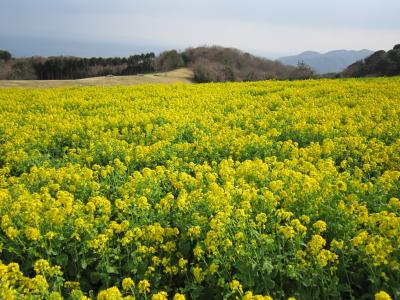 日帰り淡路島ドライブ旅　極寒の春を感じて