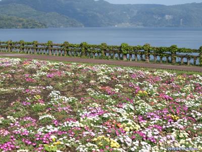 花に誘われ・・・・・・春の薩摩路