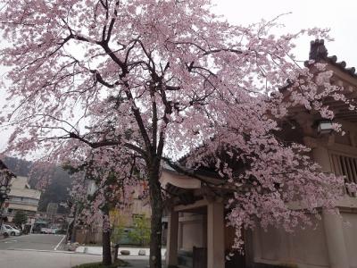 H・F旅行記　翠明　山中温泉 御食事編