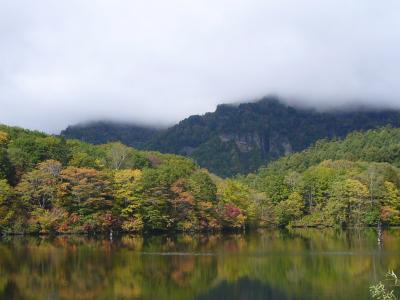 戸隠神社/森林浴の旅