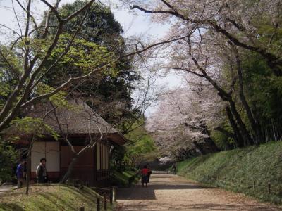 親孝行旅行　赤穂～岡山後楽園