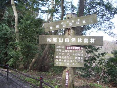 高尾山へハイキング　４月