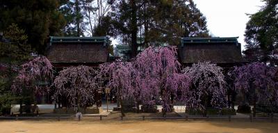 京都