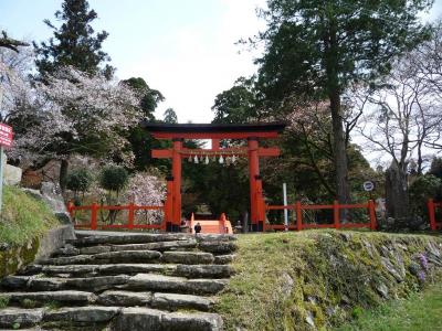 温泉と寺社を巡る～熊野・龍神・高野～
