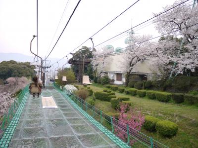 2012年　四国の旅　☆　松山城の桜＆道後温泉