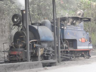 ダージリン・ヒマラヤ鉄道』その他の観光地(インド)の旅行記