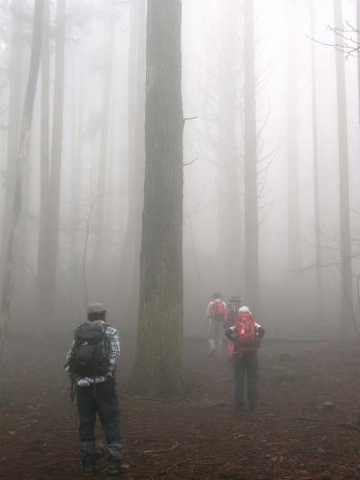 濃霧で幻想的な武甲山に登る