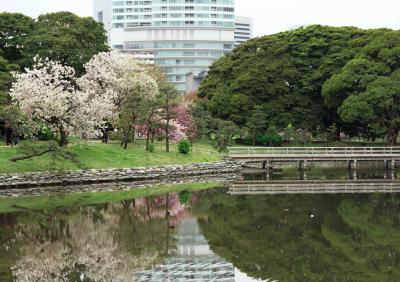 都会の中の静けさ