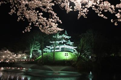 日本三大夜桜　高田公園の観桜会　２０１２年