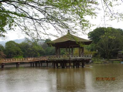 造幣局の通り抜けと醍醐の葉桜（３）鹿の苑と浮見堂。 