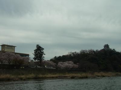 国宝犬山城・船と天守閣から桜を愛でるの巻